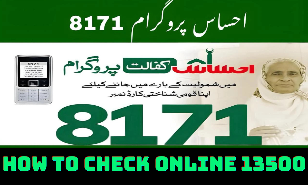BISP 8171 June 2025 Payment: How to Check Eligibility & Receive Rs. 13,500