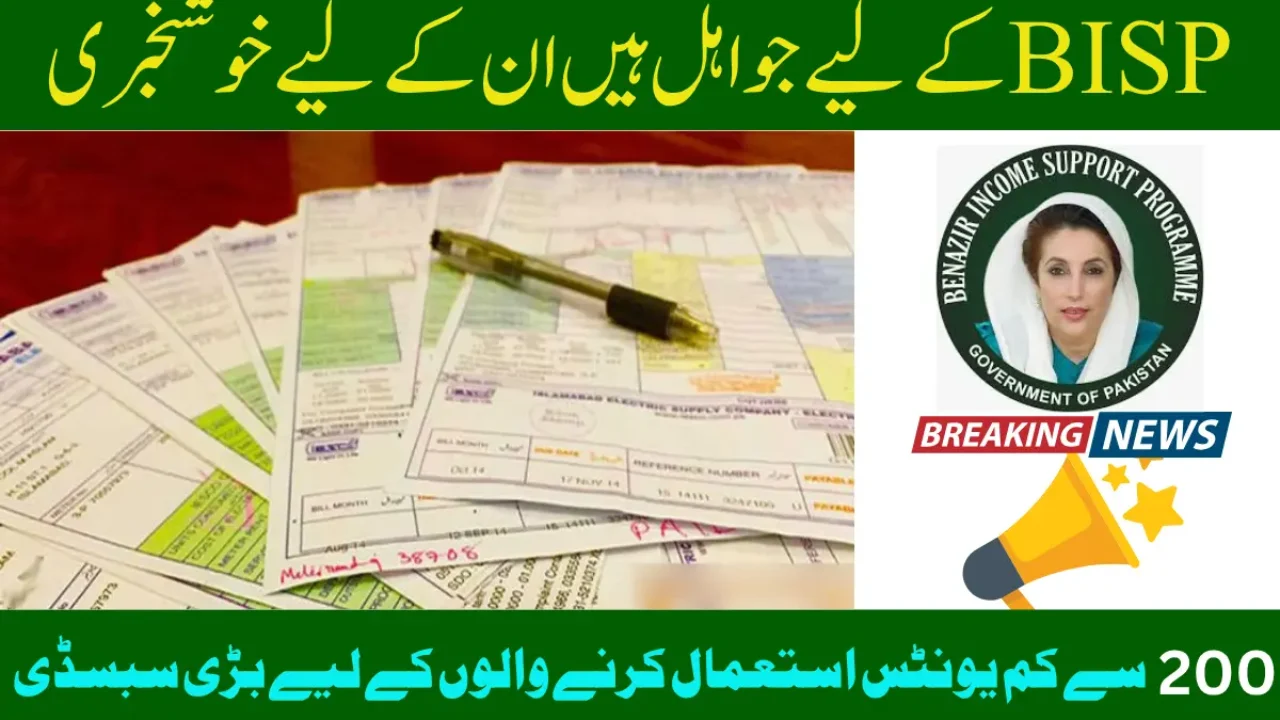 BISP Electricity Subsidy 2025: Get Monthly Bill Discounts for Using Less Than 200 Units