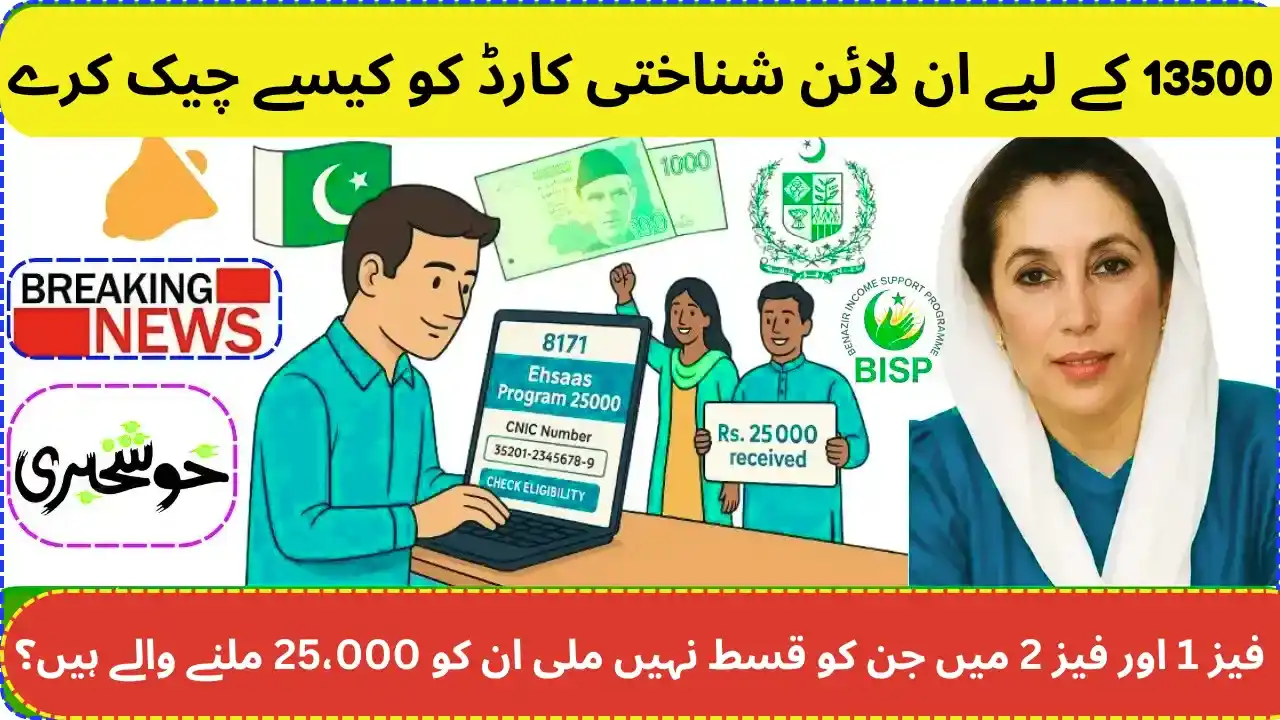 8171 Check Online CNIC: Your Easy Guide to Financial Aid in 2025